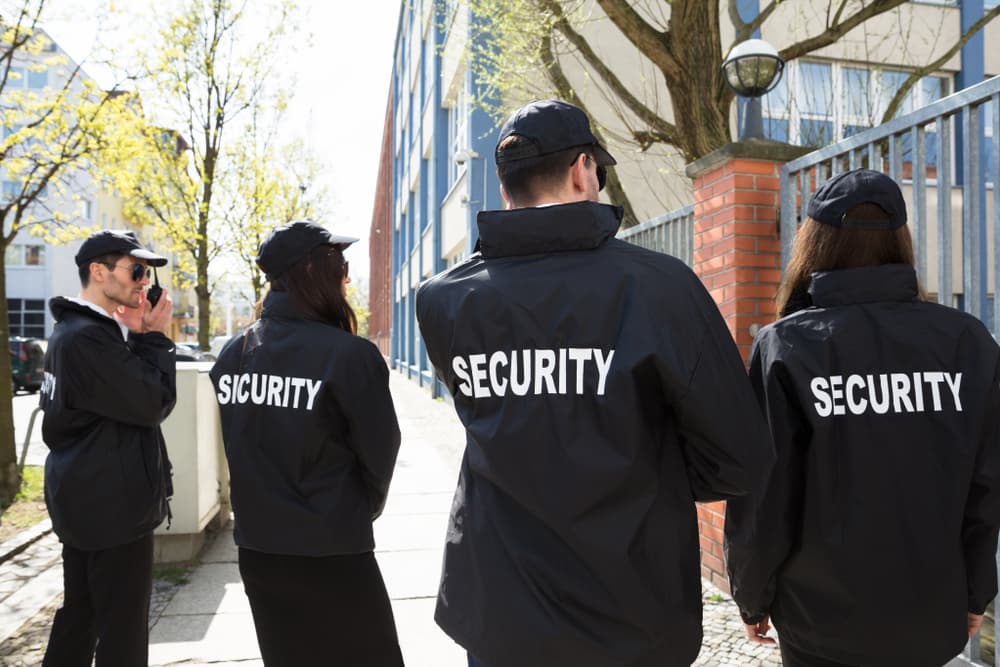 Professional security services